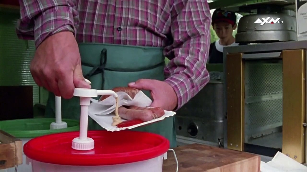 Kommissar rex staffel 1 folge 1 - part 01 hd deutsch