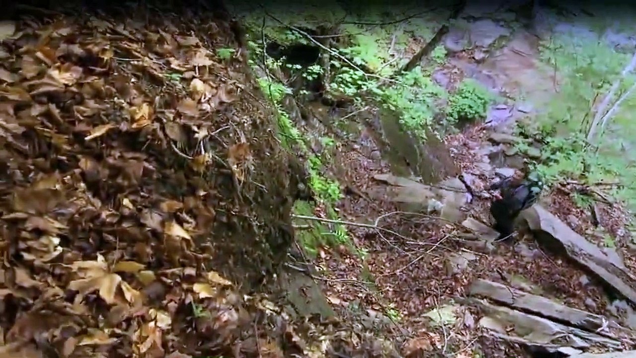 Bear Grylls Stars am Limit Staffel 1 Folge 1 HD Deutsch