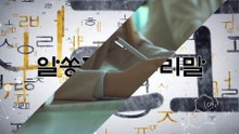 알쏭달쏭 우리말 12회