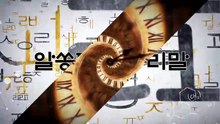 알쏭달쏭 우리말 13회