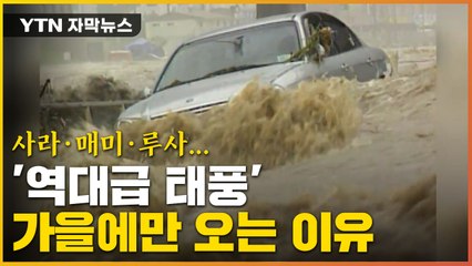 [자막뉴스] 사라·매미·루사... '역대급 태풍' 가을에 집중된 이유가 있다? / YTN