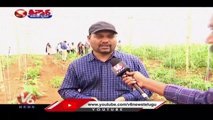 Low Cost Bamboo Polyhouse Farming For Vegetables | V6 Weekend Teenmaar
