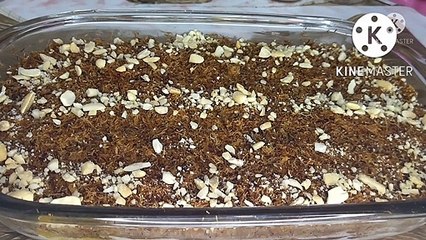 بدون فرن عملت احلى صنيه كنافه بالقشطه