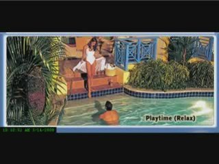 Having Fun Vacations