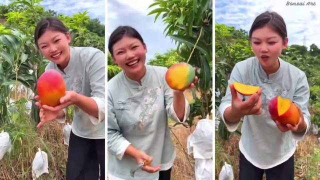 Chinese girl eat sweet mango | Amazing fruit mango | Chinese mango | red mango | wow video | Video 2022