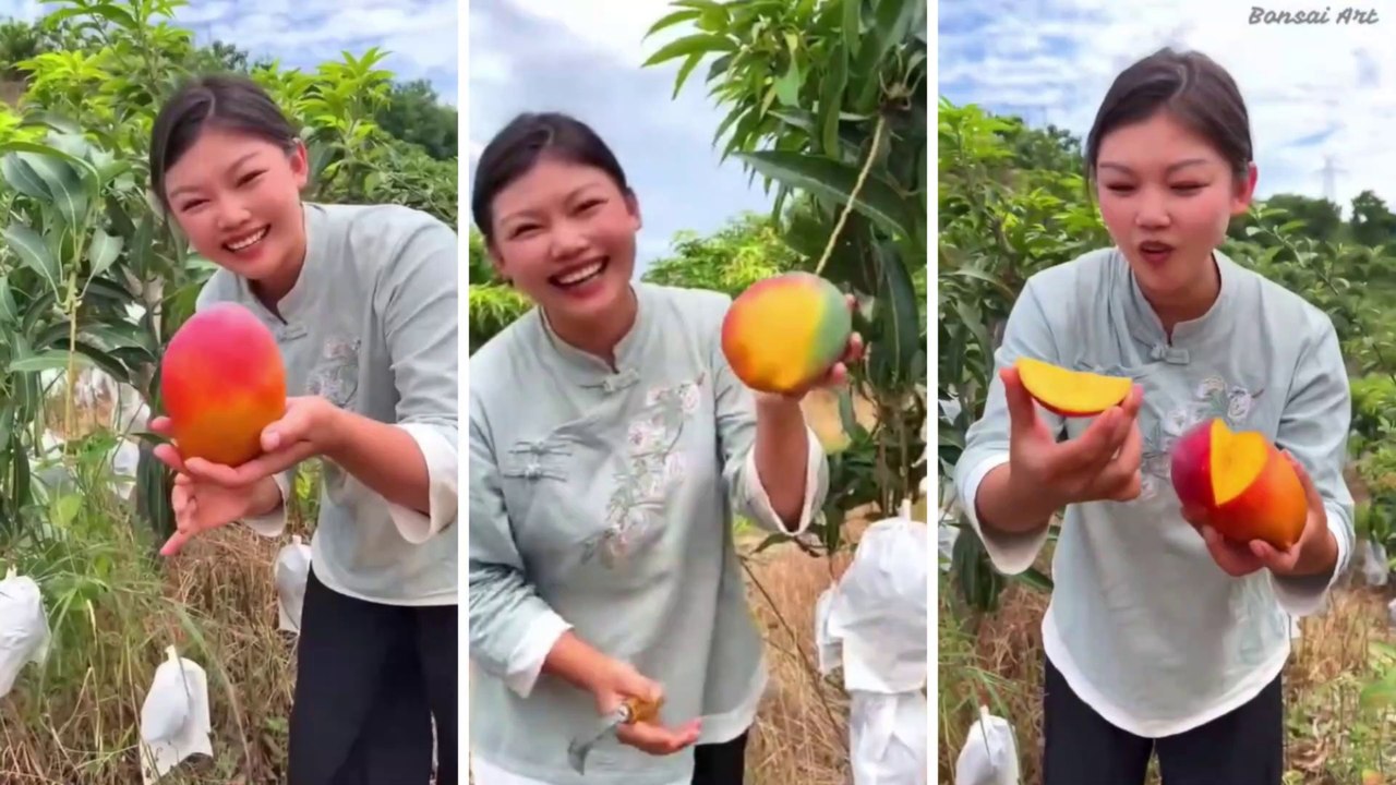 Chinese girl eat sweet mango | Amazing fruit mango | Chinese mango | red mango | wow video | Video 2022