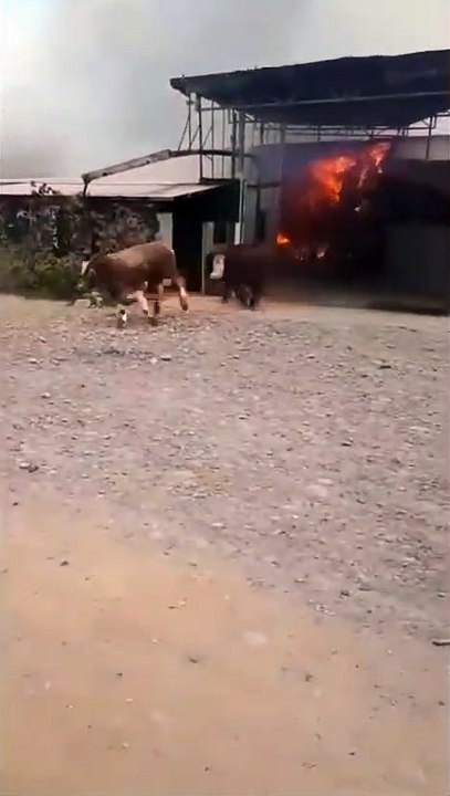 Bad Day At Work 2022