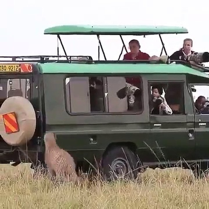 TOTAL IDIOTS AT WORK 2022