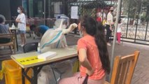 Ciudades chinas piden no viajar en próximas fiestas por rebrotes de covid