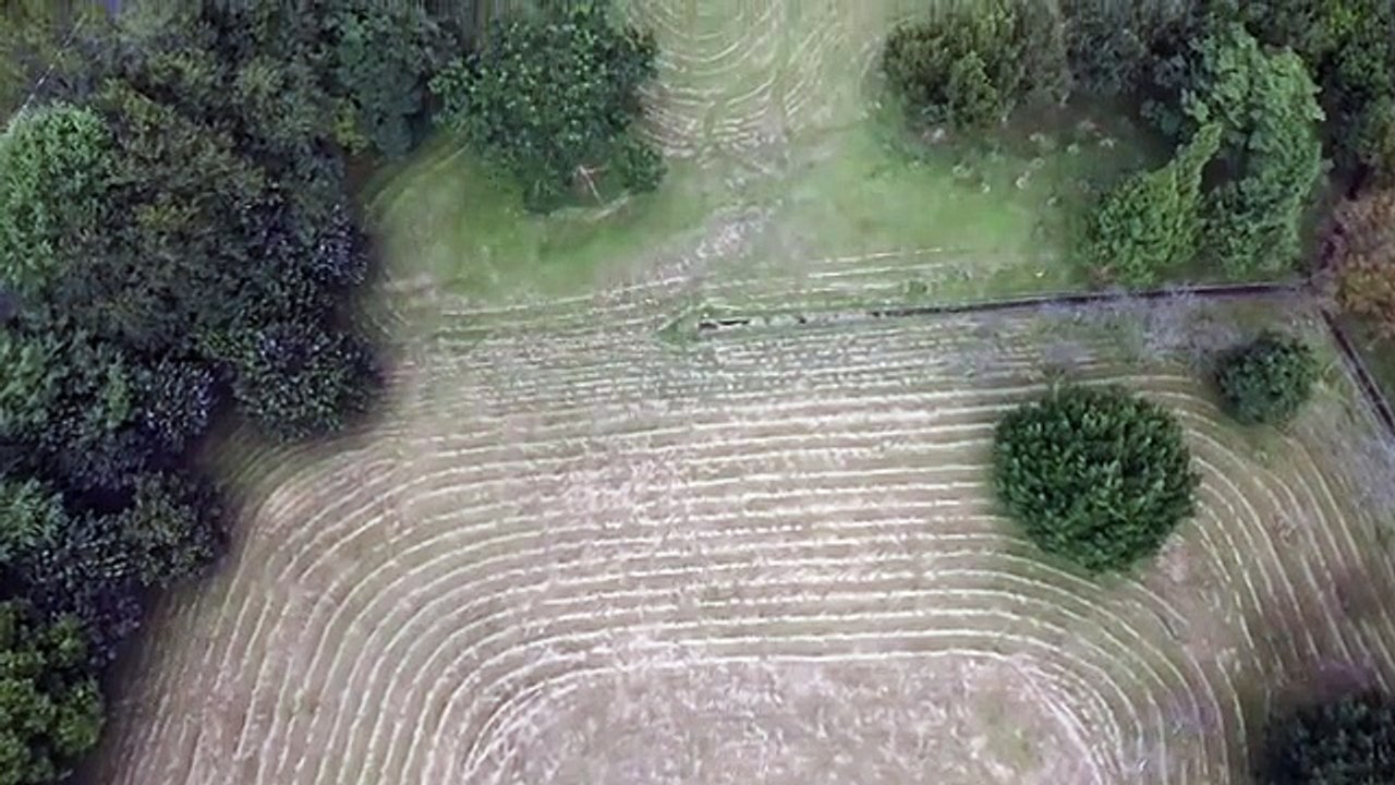 暨大驚見神秘外星「麥田圈」 專家解密學生崩潰了