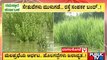 Malaprabha River Floods Crops Grown In Thousands Of Acres Land In Bagalkot | Public TV