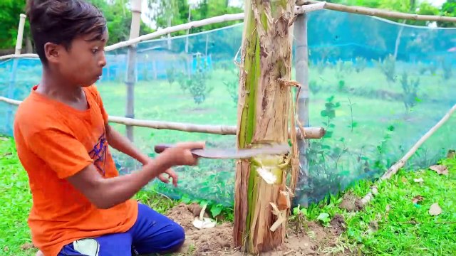 Must Watch New Special Funny Video-Superhit Comedy Video /अवश्य देखें नया विशेष मजेदार वीडियो-सुपरहिट कॉमेडी वीडियोअवश्य देखें नया विशेष मजेदार वीडियो-सुपरहिट कॉमेडी वीडिيجب مشاهدة الفيديو الكوميدي الجديد المضحك الخاص Superhit