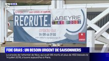 Contre la pénurie de main d'œuvre, l'entreprise de foie gras Labeyrie a lancé un plan d'urgence pour recruter 500 saisonniers