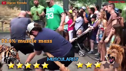 Lion VS Tiger - Tiger VS Lion Fight Real Video - Blondi Foks
