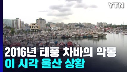 태풍 경로 울산...피해 발생할까 노심초사 / YTN