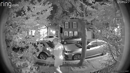 Le voyage et la chute ne semblent pas interrompre l'appel téléphonique - Buzz Buddy