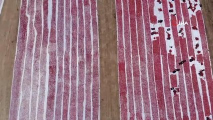 Domatesler ihracat için güneşe serildi: 7 ülkeye gönderilecek