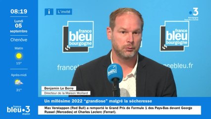 Millésime 2022 : "Les vendanges se passent vraiment bien"