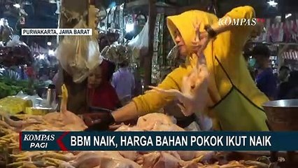 下载视频: Harga Cabai Merah Keriting Naik 4 Kali Lipat, Apakah Imbas Kenaikan Harga BBM?!