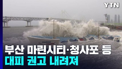부산지역 굵은 빗줄기...태풍 접근 소식에 '긴장' / YTN