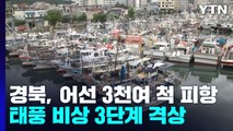 경북 동해안 어선 3,285척 피항...내일 오전 포항 관통 전망 / YTN