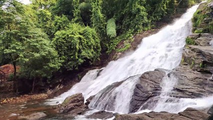 (हिंदी मे) Vazhachal Forest Division in Sholayar Range, Charpa Waterfalls, Vazhachal Waterfalls