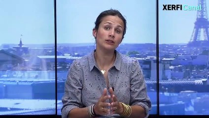 Quelles motivations à la relocalisation ? [Anaïs Voy-Gillis]
