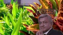 Diego Fernandez de Ceballos y AMLO Andres Manuel Lopez Obrador