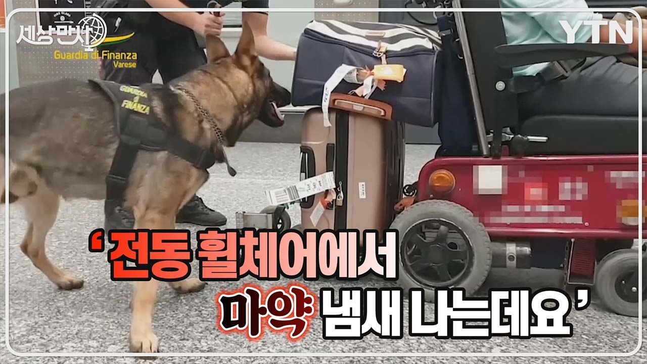 [세상만사] 마약 탐지견 덕분에 27,000회 분량 코카인 밀수 적발 / YTN
