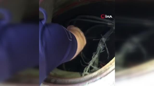 Beylikdüzü'nde kanalizasyon rögarına düşen yavru kediyi itfaiye kurtardı