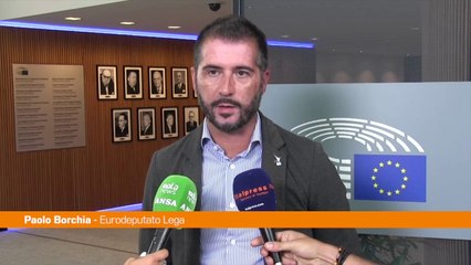 Energia, Borchia "Green Deal va riformato"