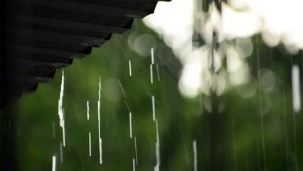 Relaxing nature sounds (soft rain)