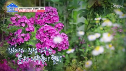 명품 배우 김혜정의 힐링 하우스 大 공개 TV CHOSUN 20220905 방송