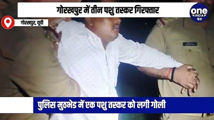 गोरखपुर में तीन पशु तस्कर गिरफ्तार