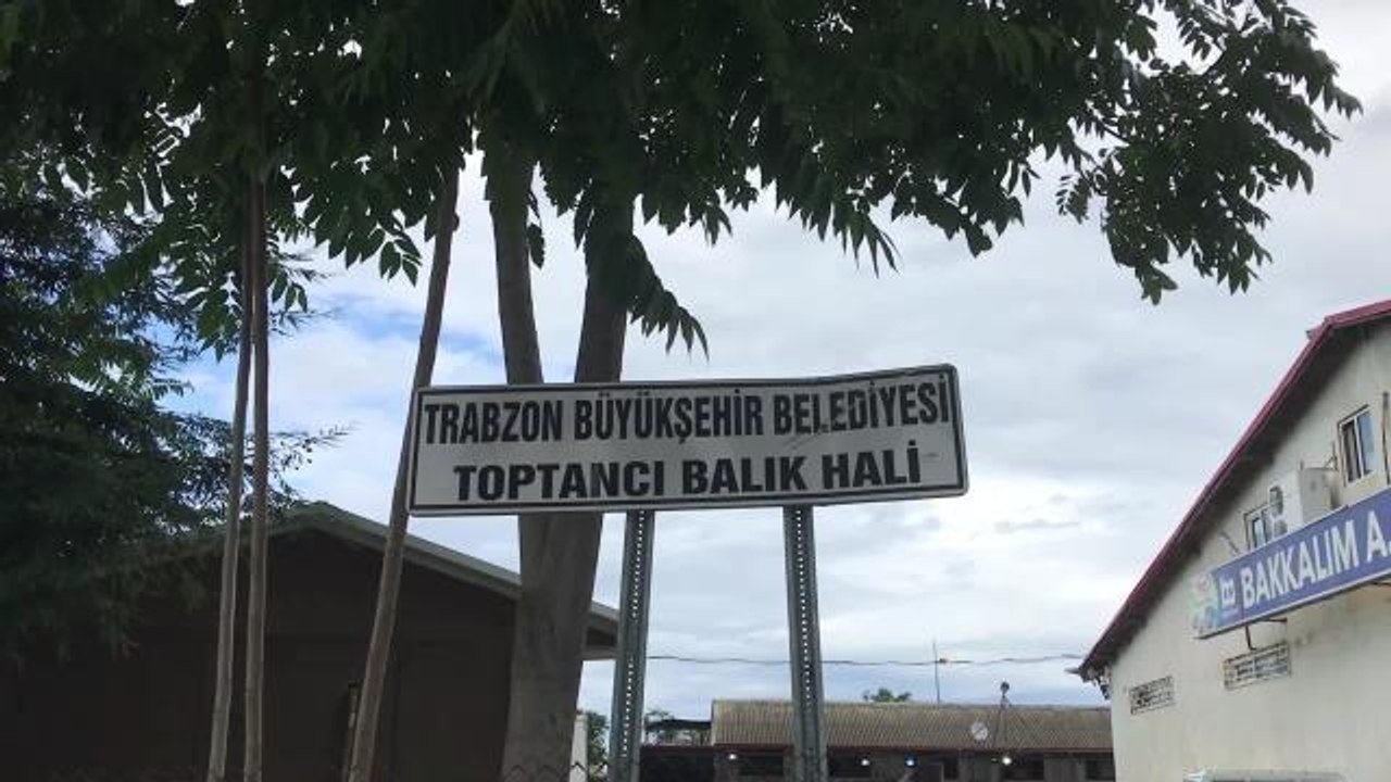 Trabzon haberi: Trabzon Toptancı Balık Hali Esnafı, Elektrik Kesintisi Nedeniyle Mağdur Olduu