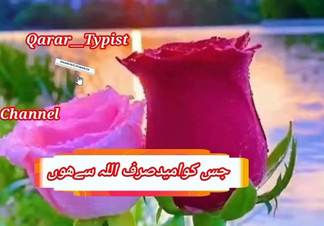 Kabi haar nahi maan sakata | کبھی ھار نہیں مان سکتا | qarar__typist