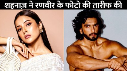 Ranveer Singh के न्यूड फोटोशूट पर Shehnaaz Gill ने इशारों ही इशारों में के दी इतनी बड़ी बात