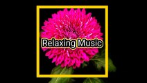 Royalty free Indian classical instrumental relaxation music