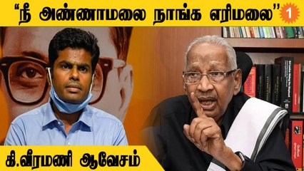 Télécharger la video: அண்ணாமலைக்கு கிடைத்திருக்கும் பதவியே திராவிட இயக்கத்தின் எதிரொலிதான் - கீ.வீரமணி