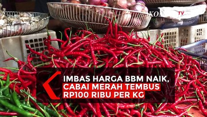 Harga BBM Naik, Cabai Merah Tembus Rp100 Ribu, Minat Pembeli Menurun