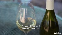 Spécial Vins 2022 : les appellations à suivre