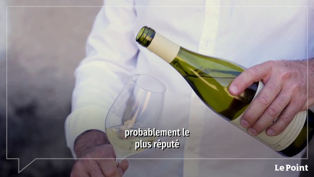 Spécial Vins 2022 : les appellations à suivre