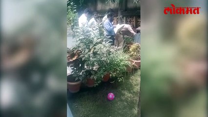 अग्निशामक अधिकारीच करत होता, महावितरणची वीज चोरी..-