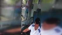 Otobüs şoförü yolda ezilme tehlikesi geçiren kaplumbağayı kurtardı