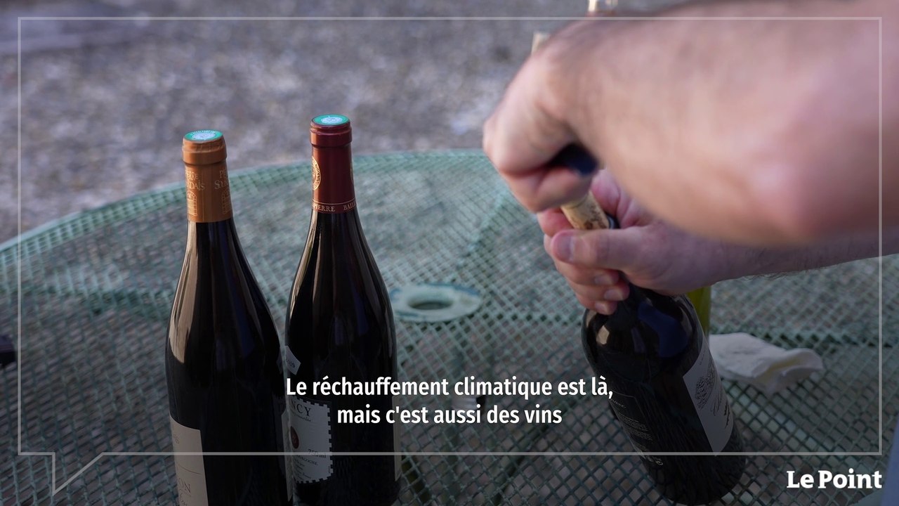 Spécial Vins 2022 : les foires aux vins