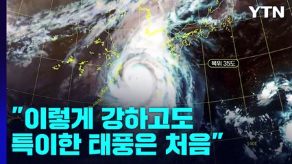 "이렇게 강하고도 특이한 태풍은 처음"...태풍 잡아먹고 북상하며 더 세져 / YTN