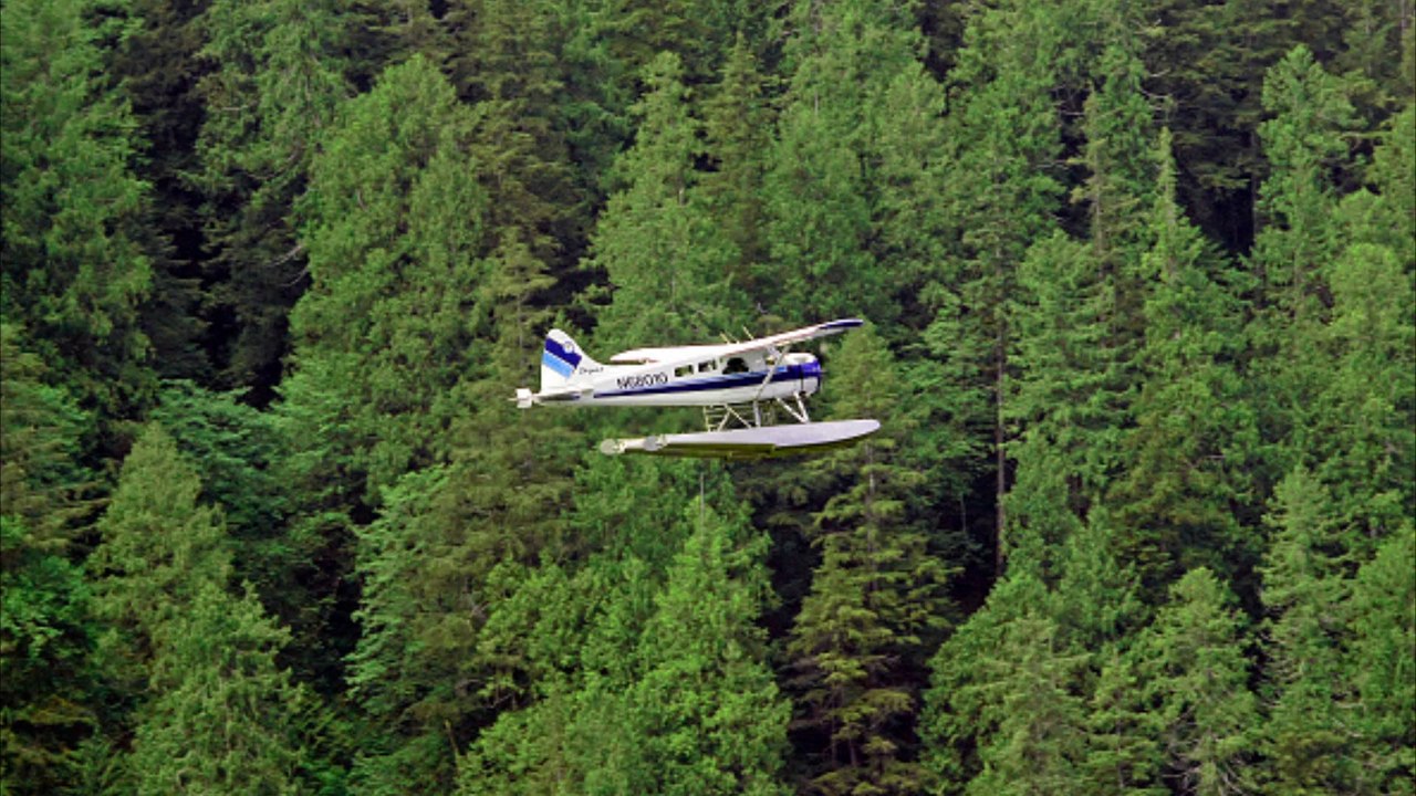 Wasserflugzeug mit zehn Passagieren abgestürzt