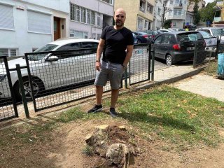 Beşiktaş Belediyesi Ayazma Parkı'ndaki 3 ağacı kesti iddiası