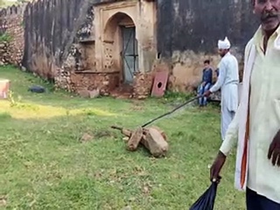 video- तोप की सलामी देकर की देहरुपी सर्प की सवा...