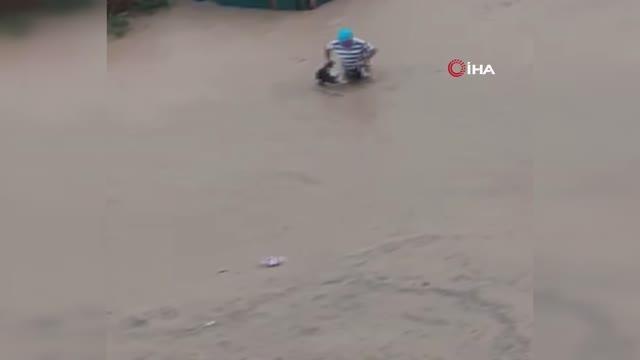 Son dakika haber! Selde canını hiçe sayıp hayvanlarını boğulmaktan böyle kurtardı